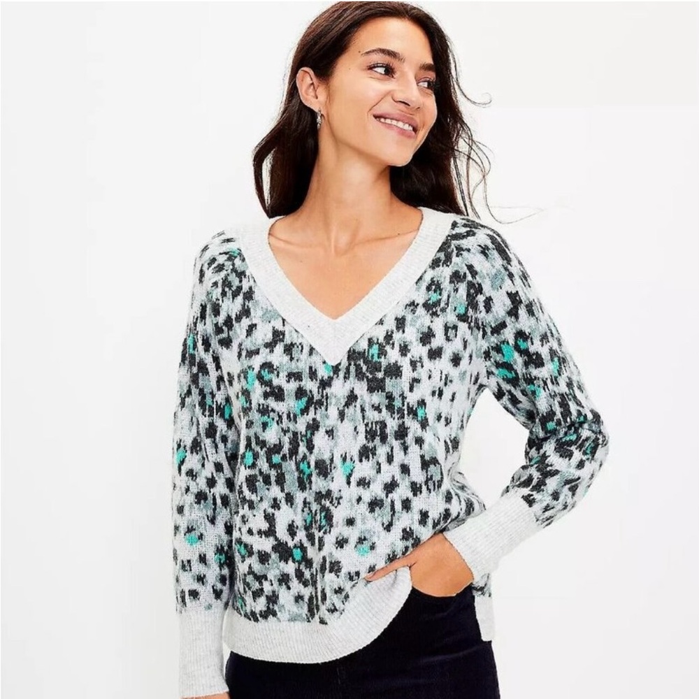 NWT Loft Leopard V-Neck Sweater